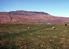 1975 UK Yorkshire Dales 022